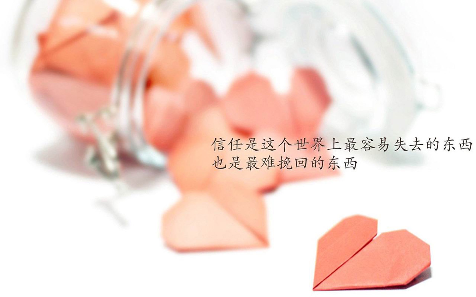 传奇再临：退役巨星担任教练的新篇章，传奇再现最新章节