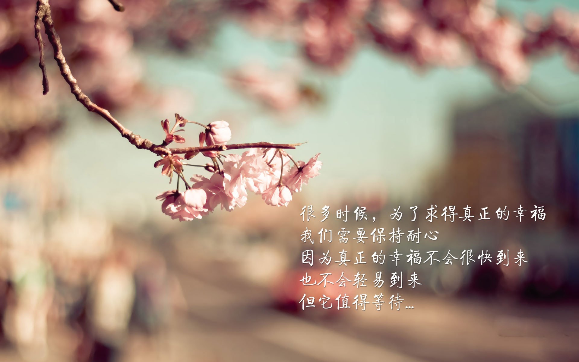 国足球员体能衰减与战术执行力下降关系，足球运动员体能差