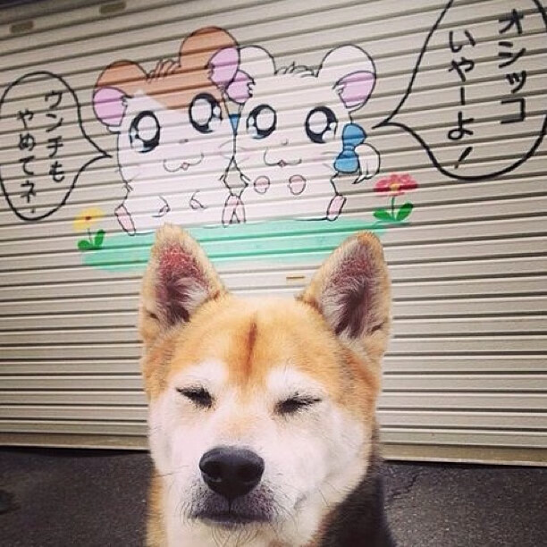 LeyuSports-2024年国际乒联混合团体世界杯：印度队强势崛起，2020国际乒乓球团体世界杯