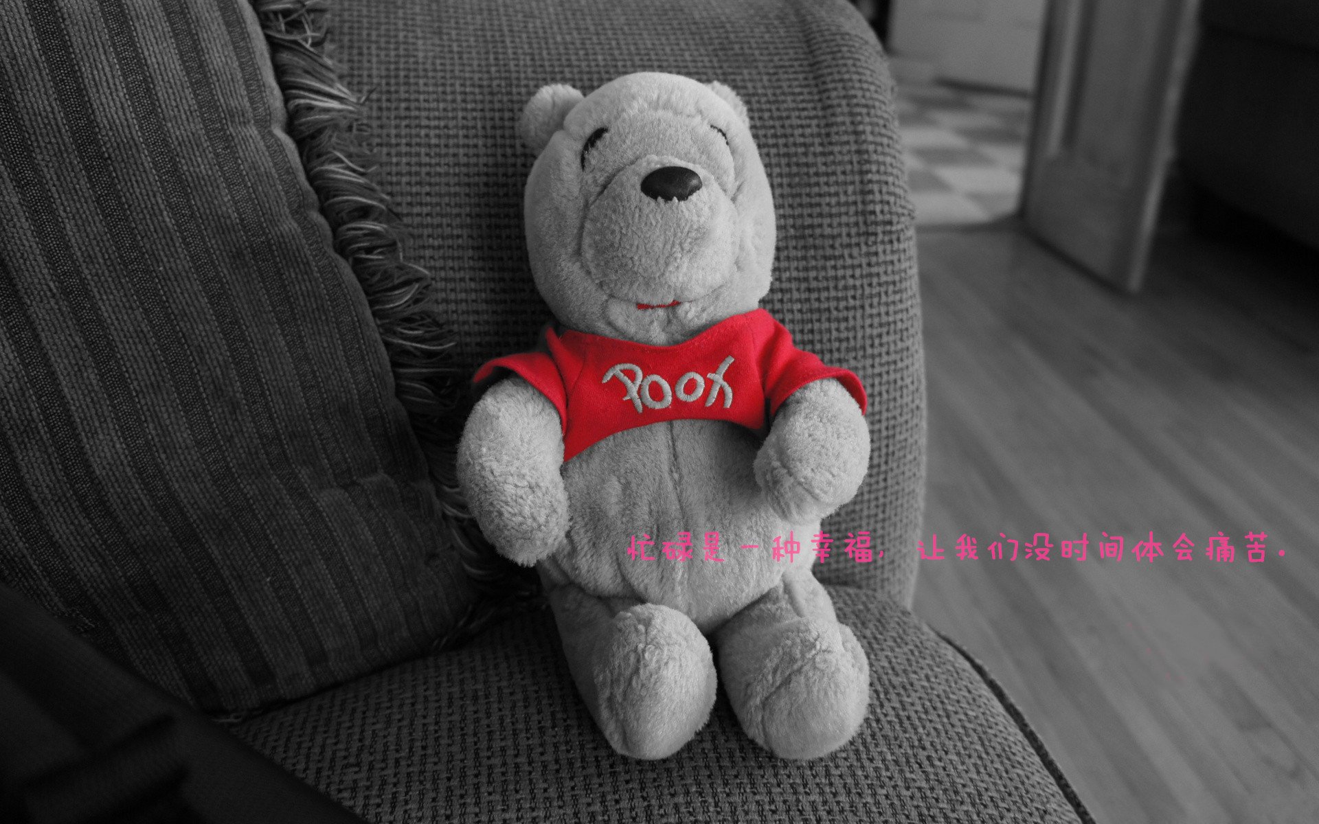 leyu乐鱼在线登录入口-“东桃花岛：缆绳滑水赛场极速对决，观众激情四溢”