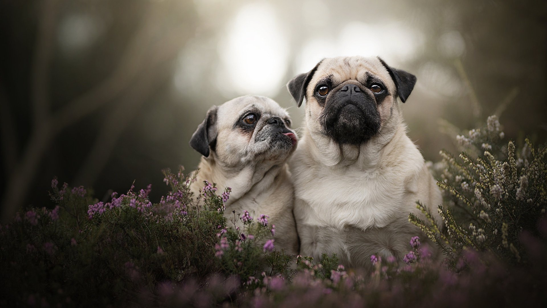 世界杯预选赛中国队平局 战术调整获认可，世界杯预选赛平局怎么办