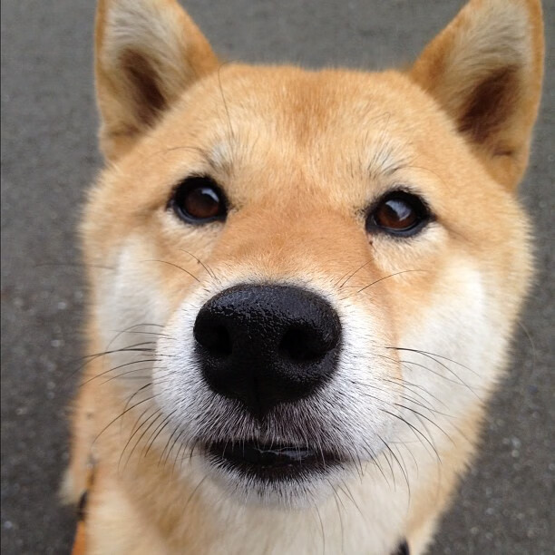 乐鱼体育平台app下载-中国足球体制改革遇到的最大阻力，中国足球改革总体方案 pdf