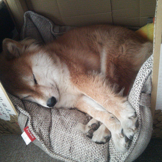 乒乓球竞赛引入随机对手训练机制,乒乓球比赛对手是抽签吗