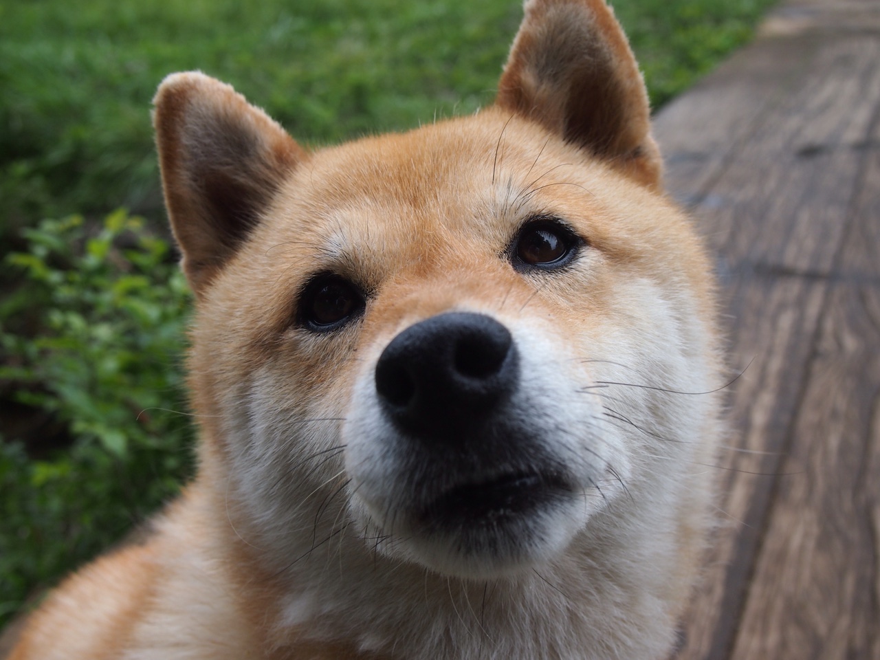 五大联赛是否更关注锋线球员防守时的前场压迫意愿,防守好的锋线球员