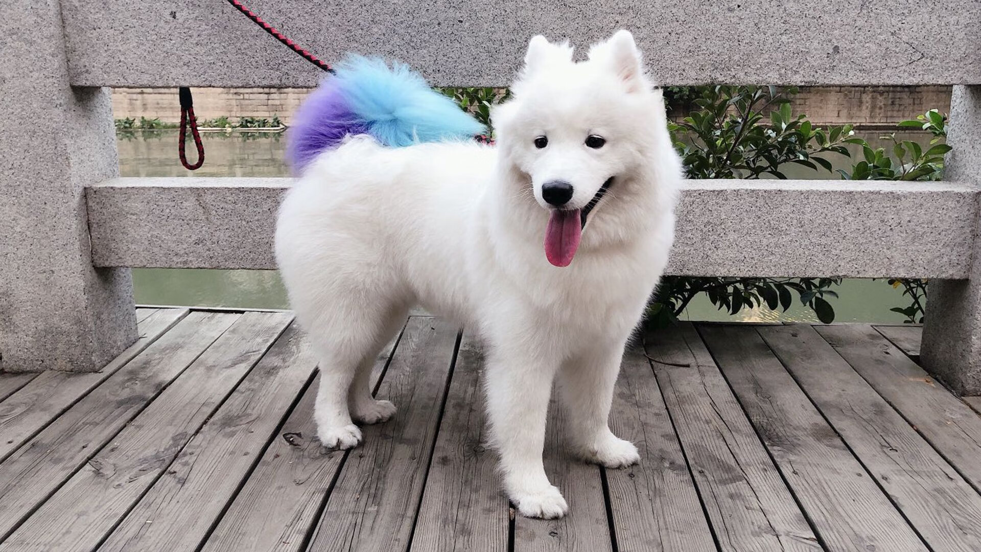 快节奏打法是否更适合空间型战术思路,什么叫快节奏