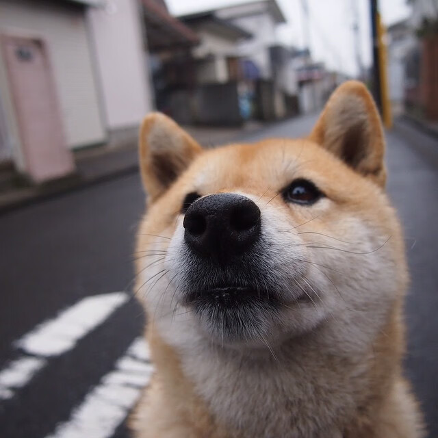 深圳领航队逐步构建快速反击体系,深圳领航者青年队 消极比赛