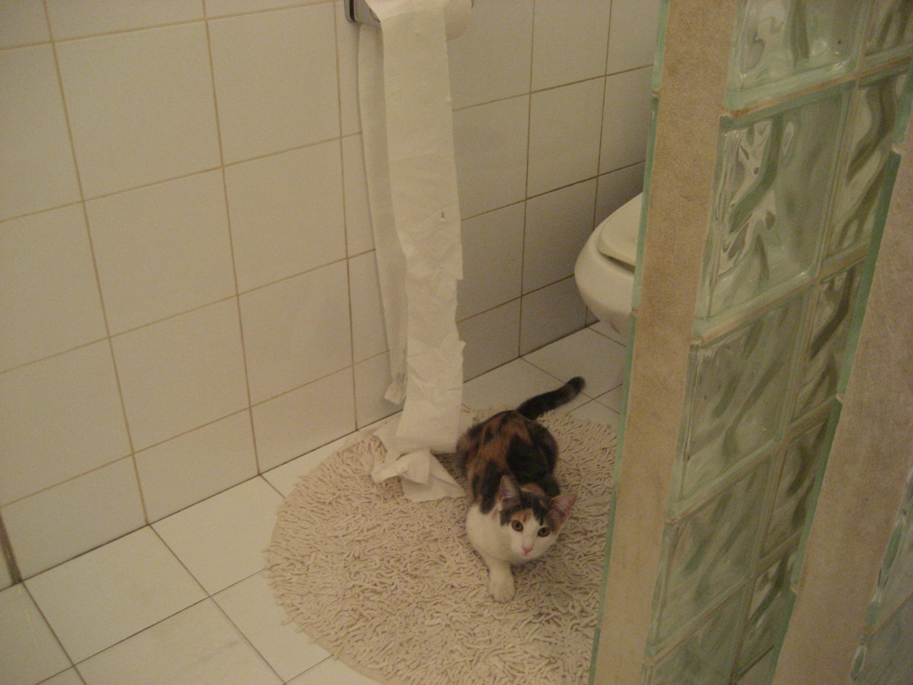 青训队伍梯度构建不清晰，梯队和青训的区别