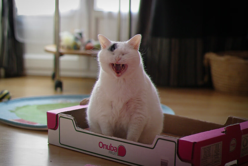 乐鱼vip-万乐天冲刺阶段表现抢眼，万乐什么意思