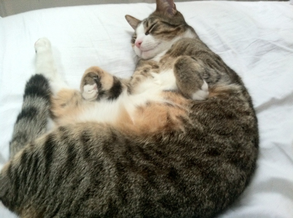 克莱尔·温斯坦:稳健步伐冲击领奖台,克里夫-莱温斯顿