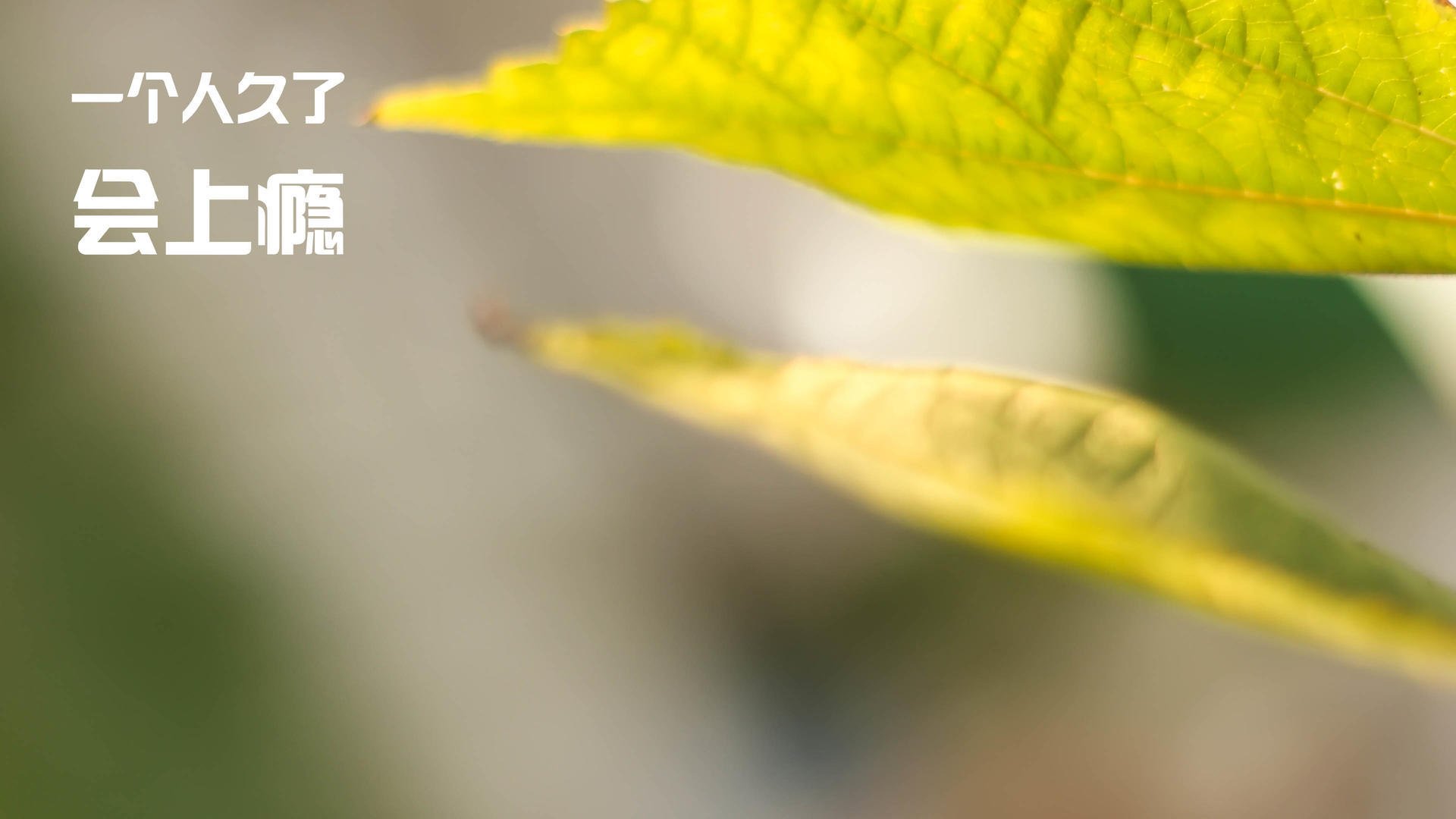 LEYU SPORTS中国官方网站-赛事数据深度分析：未来技术趋势预测，赛事发展